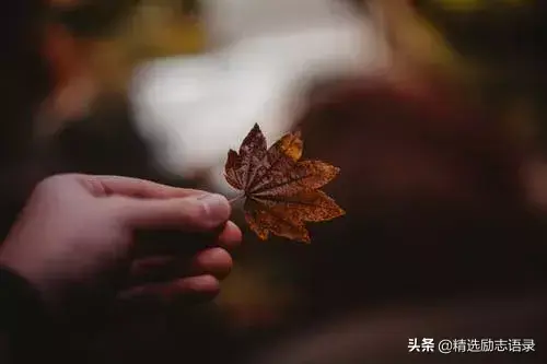 别把好心，给错了人(图3)
