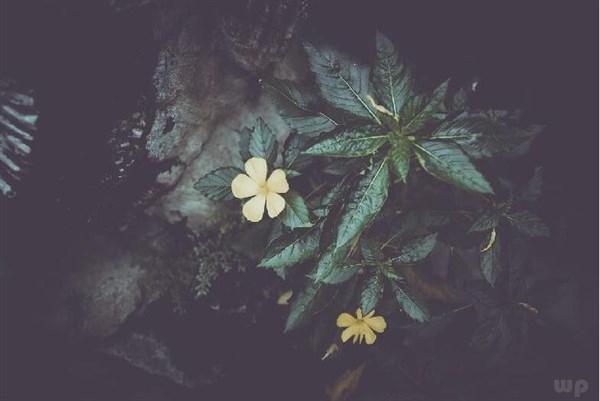 精辟透彻的夜晚句子，每一句都让人很有收获(图3)