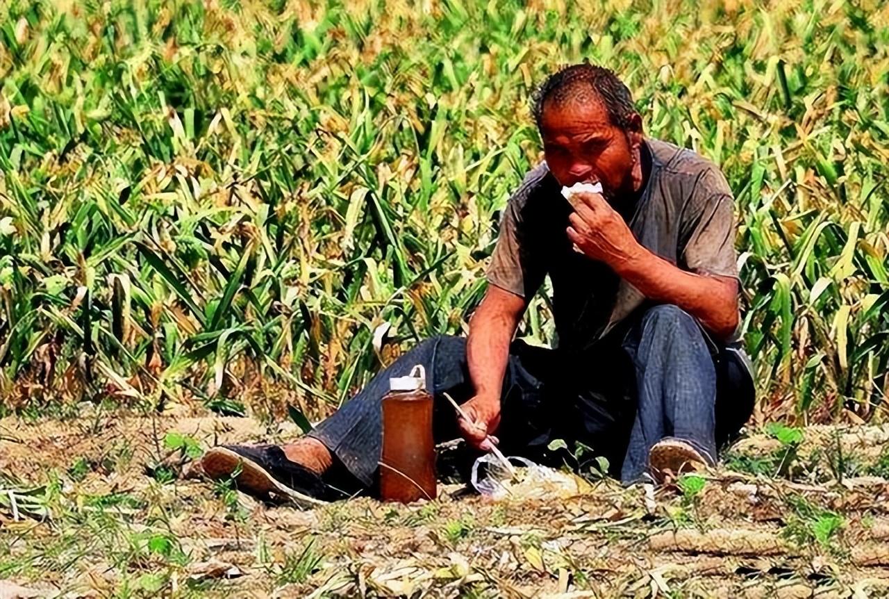 女人想给你“戴绿帽”？说这4句话就是证据，男人千万别上当！(图4)