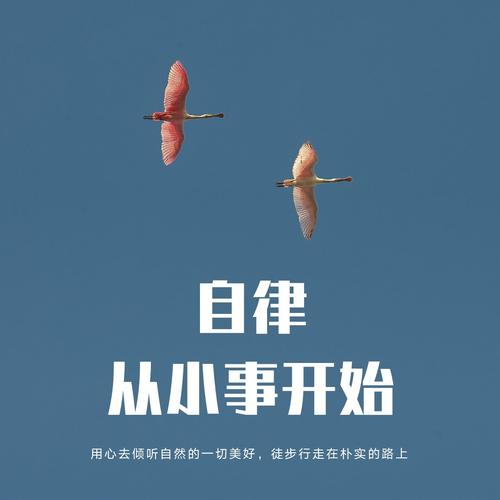 自律者胜！中考作文参考范文《自律》(图3)