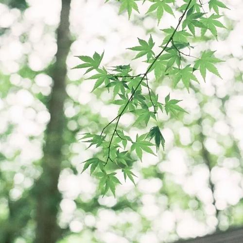 自律者胜！中考作文参考范文《自律》(图10)