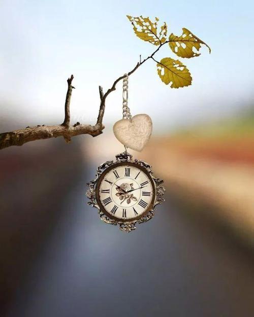 自律就是自由！中考作文参考范文《写给XXX的一封信》(图7)