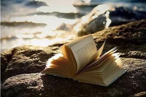 自律就是自由！中考作文参考范文《写给XXX的一封信》(图14)