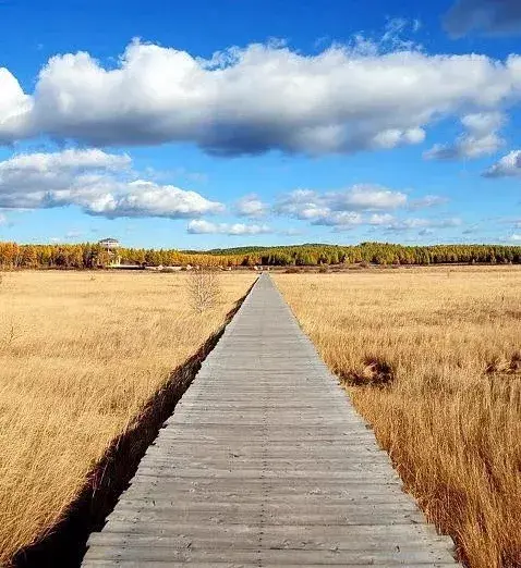 29句心理学格言，值得用一生去领会(图2)