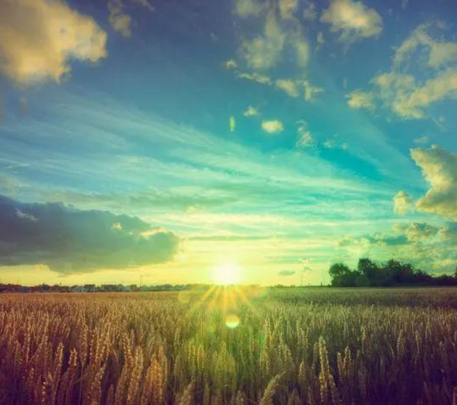 29句心理学格言，值得用一生去领会(图3)