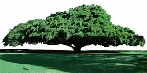 需要细嚼慢咽的22条心理学名言，越读越有味(图1)