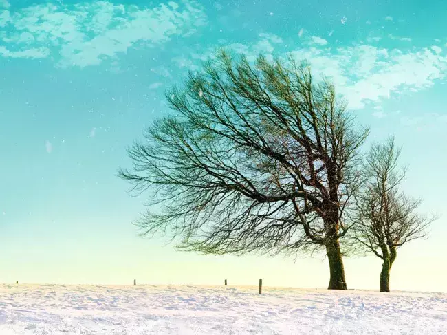 需要细嚼慢咽的22条心理学名言，越读越有味(图3)