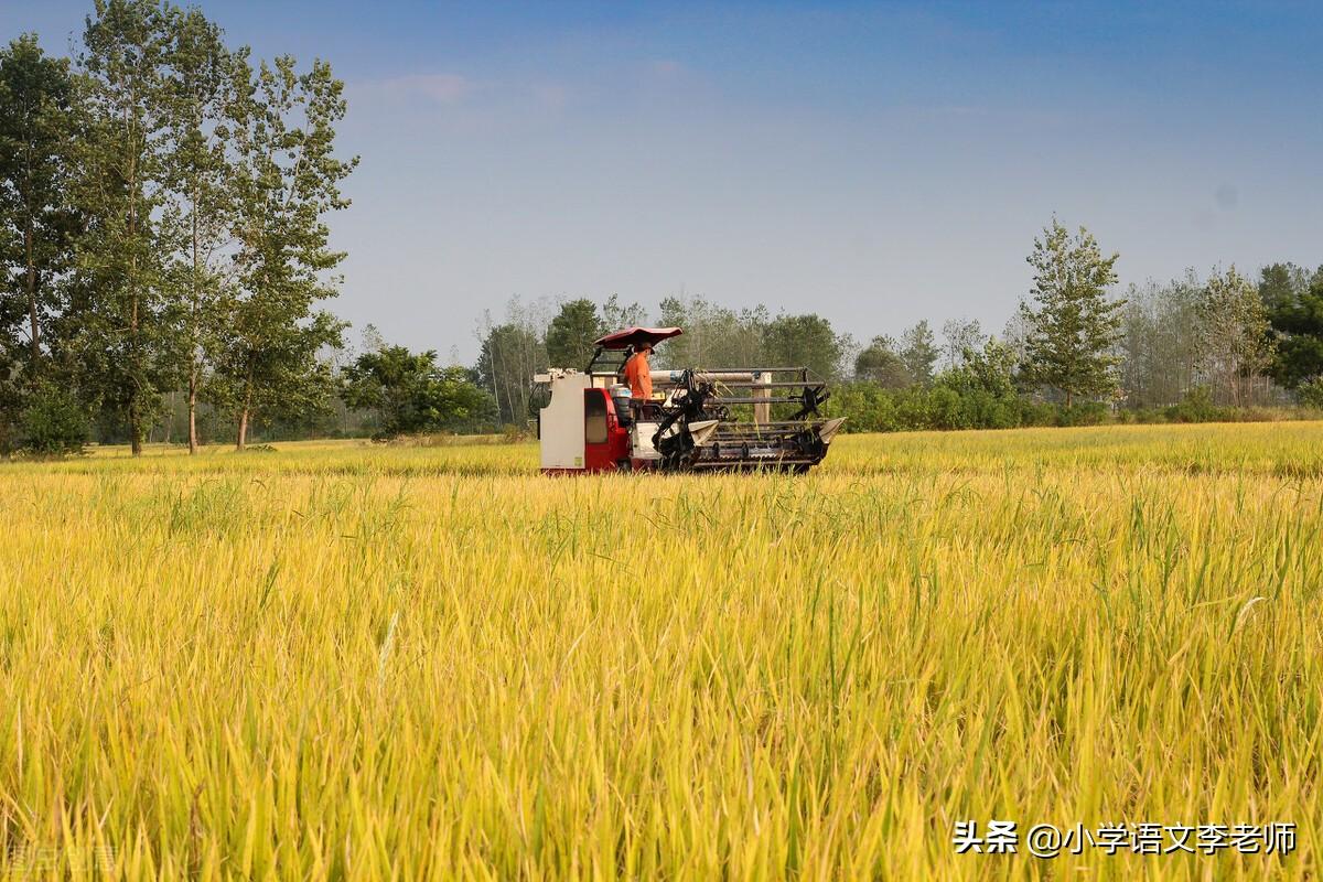 写景作文好开头、好结尾集锦，孩子写作必备素材，快收藏打印(图7)