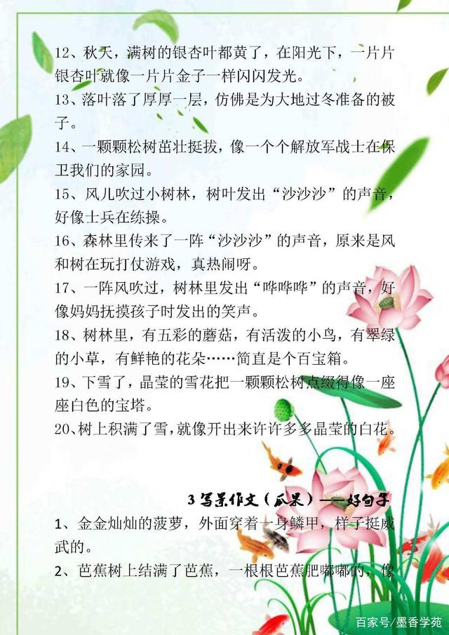 写景作文的相关技巧，开头+结尾，附优美句子积累，很全面(图8)