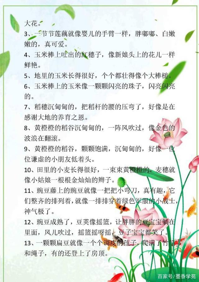 写景作文的相关技巧，开头+结尾，附优美句子积累，很全面(图11)