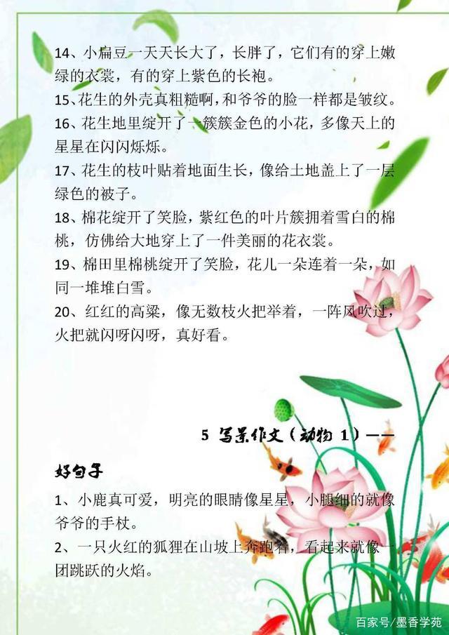 写景作文的相关技巧，开头+结尾，附优美句子积累，很全面(图12)