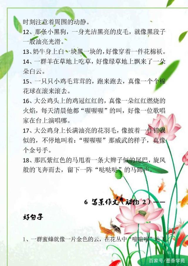 写景作文的相关技巧，开头+结尾，附优美句子积累，很全面(图14)