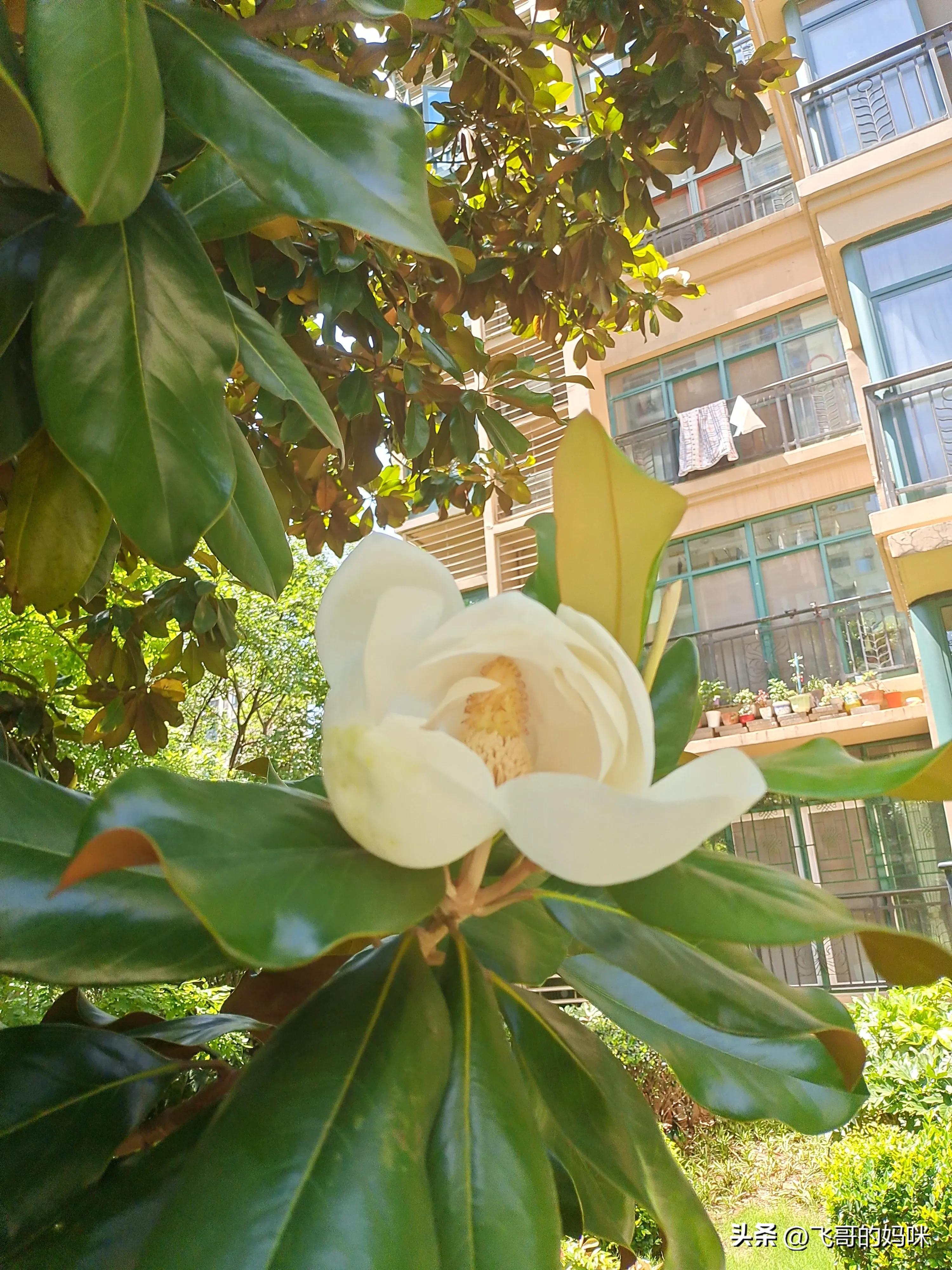 三十句暖心文案， 即温暖自己，也照亮别人(图1)