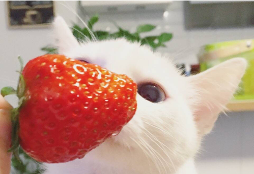 温暖正能量清新小句子，简短温暖的文案(图1)