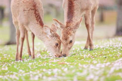 温暖正能量清新小句子，简短温暖的文案(图3)