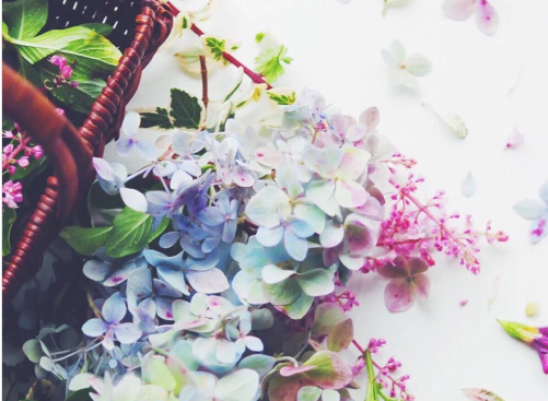 温暖正能量清新小句子，简短温暖的文案(图4)