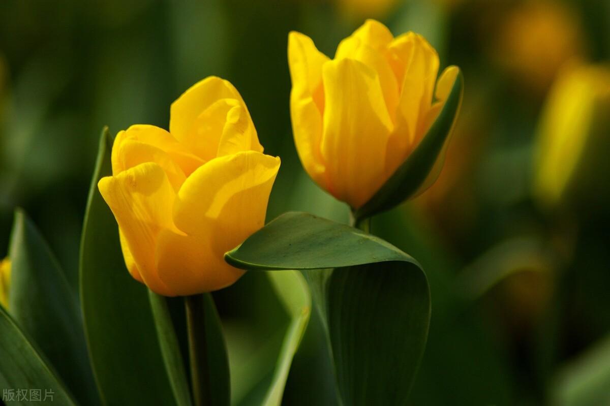 经典：面对挫折，这些诗句一直激励着我们不断前行(图2)