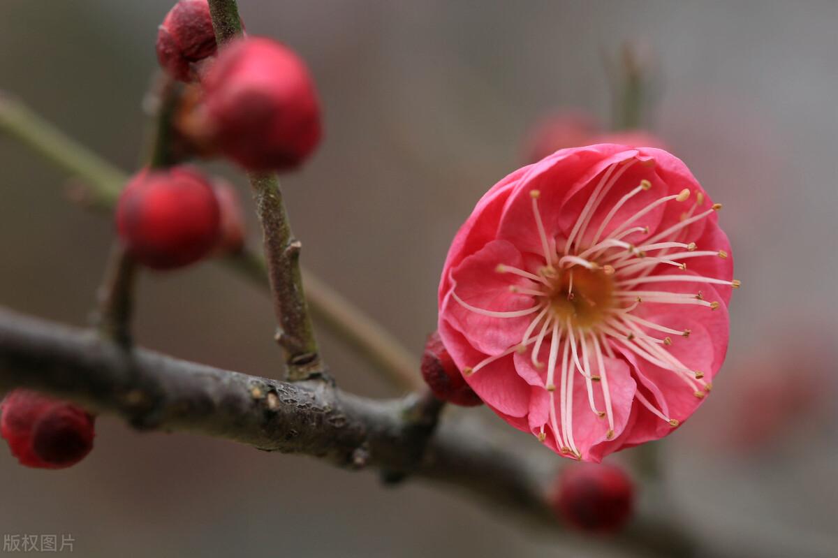 经典：面对挫折，这些诗句一直激励着我们不断前行(图3)