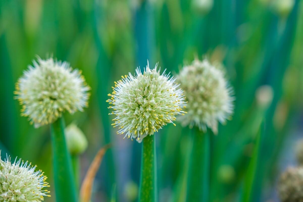 经典：面对挫折，这些诗句一直激励着我们不断前行(图4)