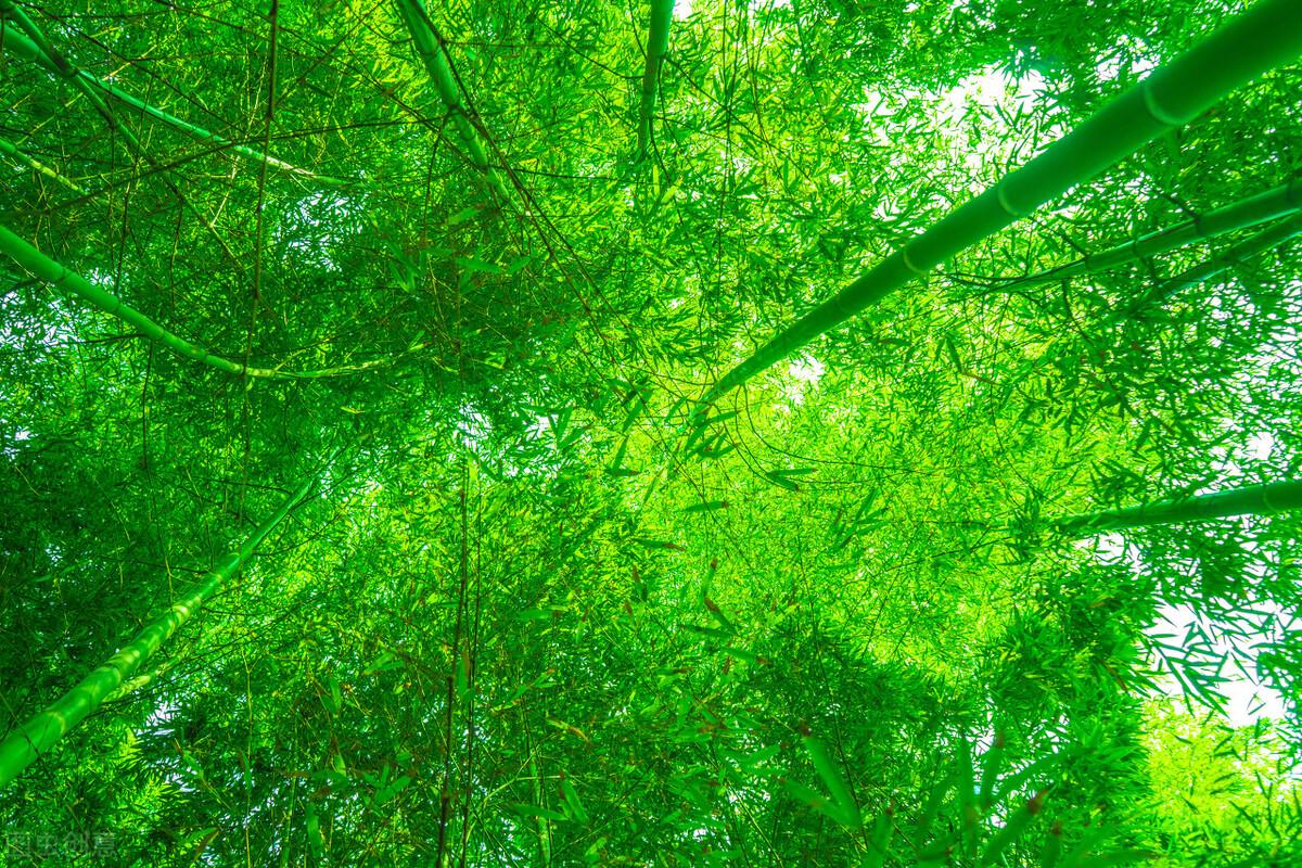 经典：面对挫折，这些诗句一直激励着我们不断前行(图5)