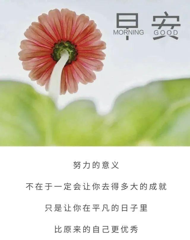 清晨发朋友圈梦想正能量的句子，心累迷茫时多看看(图2)
