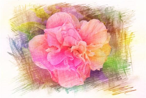 美好精致的早安语录，激励人心，送给为梦想努力的你(图4)