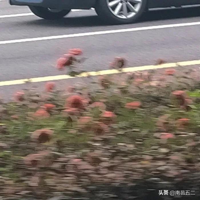 25句关于梦想的句子，句句充满真实(图2)