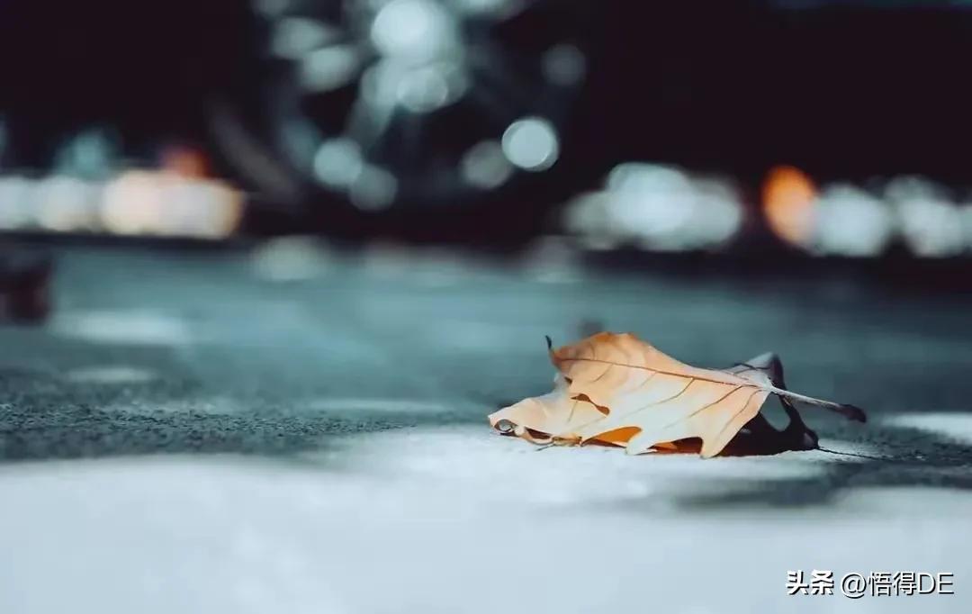 若人生只剩归途，行至中年，我只愿守一颗平常心，怡然自得(图1)