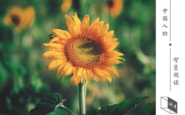 父母在，人生尚有来处；父母去，人生只剩归途(图11)