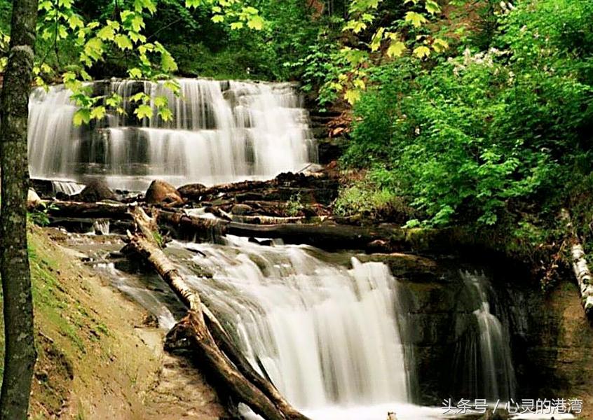父母在人生尚有来处,父母去人生只剩归途(句句入心)(图1) 父母在人生尚有来处,父母去人生只剩归途(句句入心)(图1)