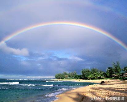 父母在人生尚有来处,父母去人生只剩归途(句句入心)(图4) 父母在人生尚有来处,父母去人生只剩归途(句句入心)(图4)