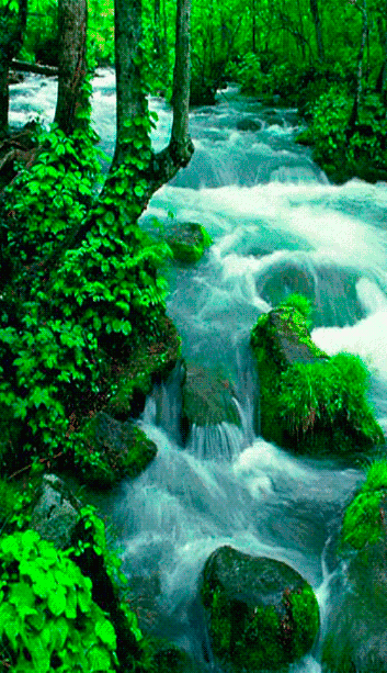 「经典语录」气球:只要被人一吹,便飘飘然了(图20) 「经典语录」气球:只要被人一吹,便飘飘然了(图20)