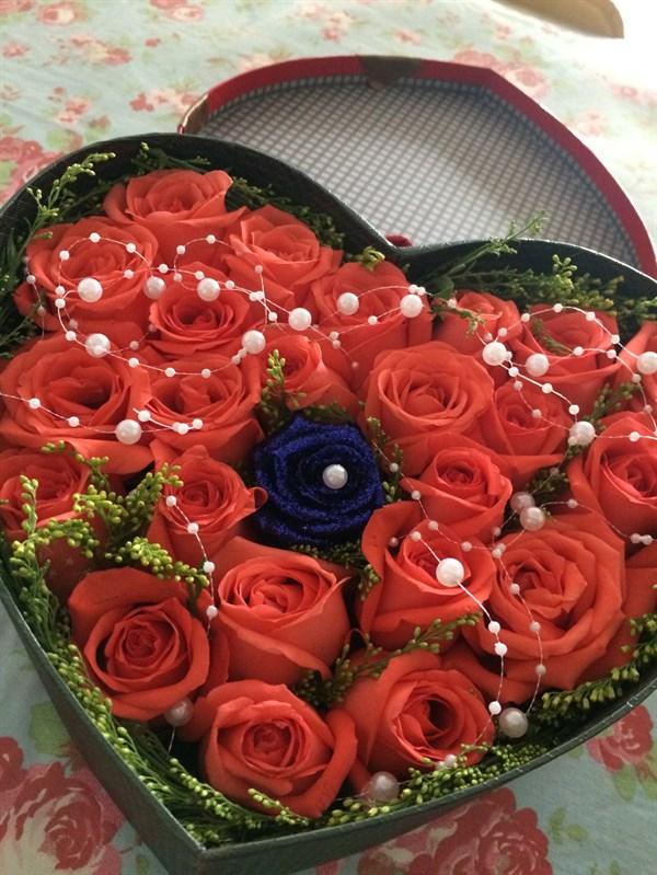 情人节最浪漫感人的表白句子，撩不到你算我输(图4)