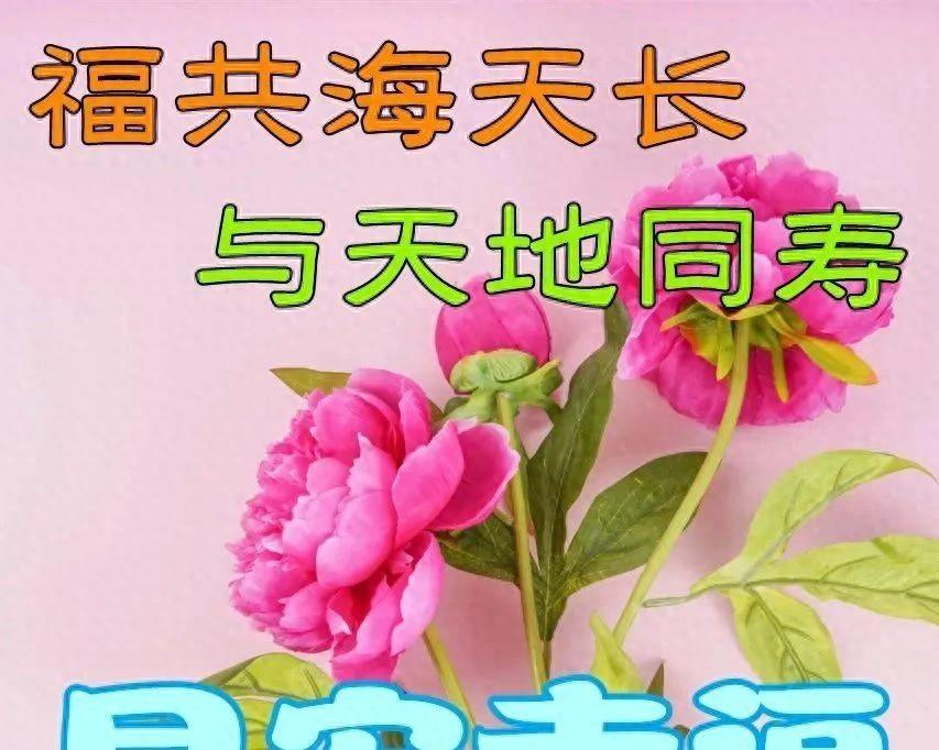 早安心语每日一句正能量短句，鼓励自己努力向上的早安励志句子(图1)