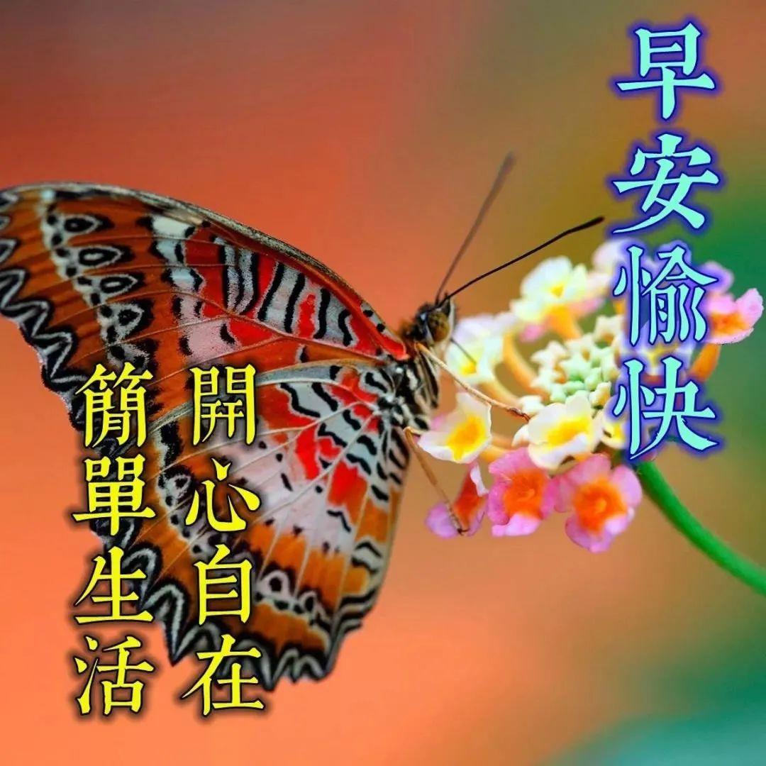 早安心语每日一句正能量短句，鼓励自己努力向上的早安励志句子(图4)