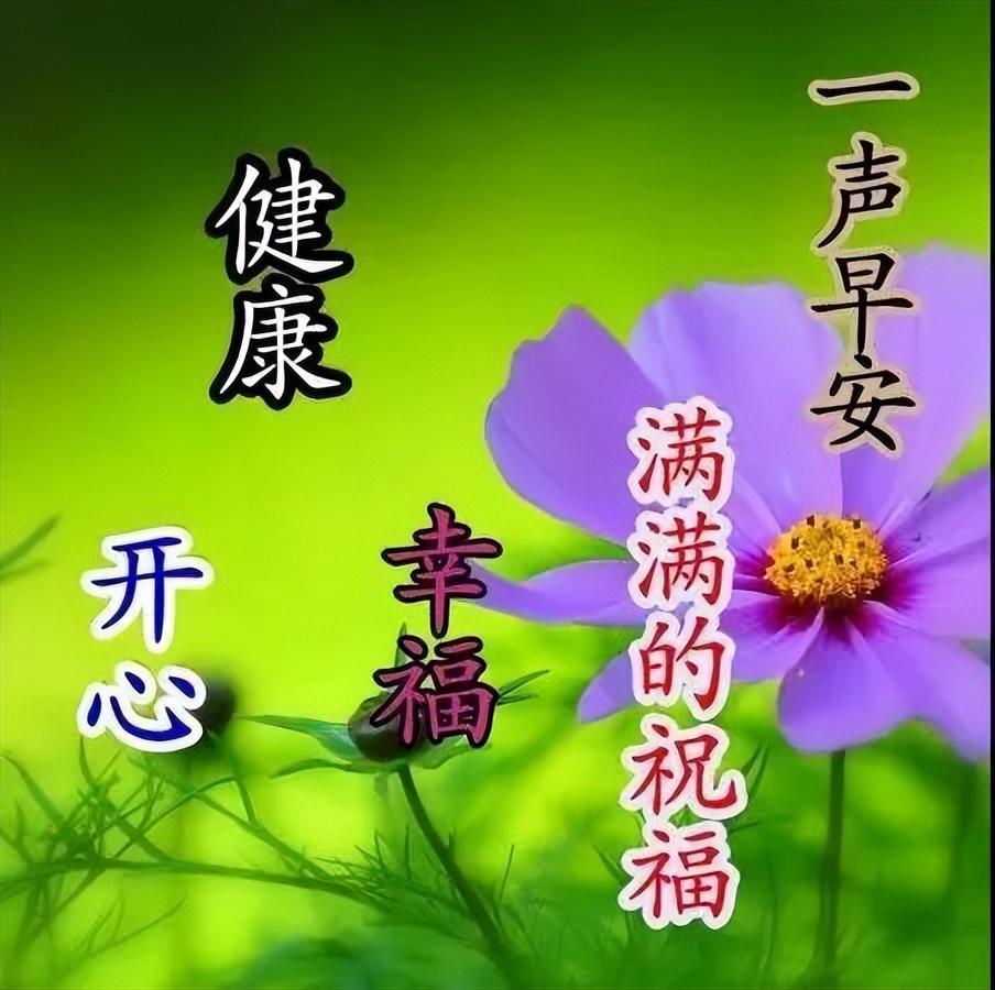 早安心语每日一句正能量短句，鼓励自己努力向上的早安励志句子(图8)