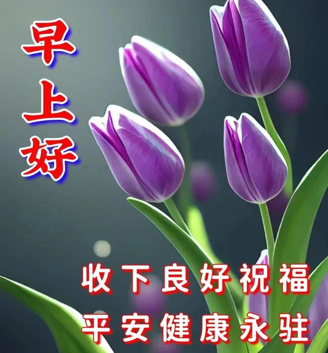 早安心语每日一句正能量短句，鼓励自己努力向上的早安励志句子(图9)