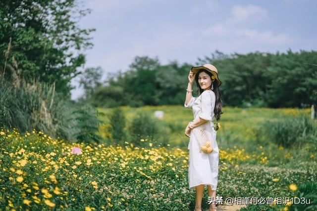 美好生活唯美精句(图11)