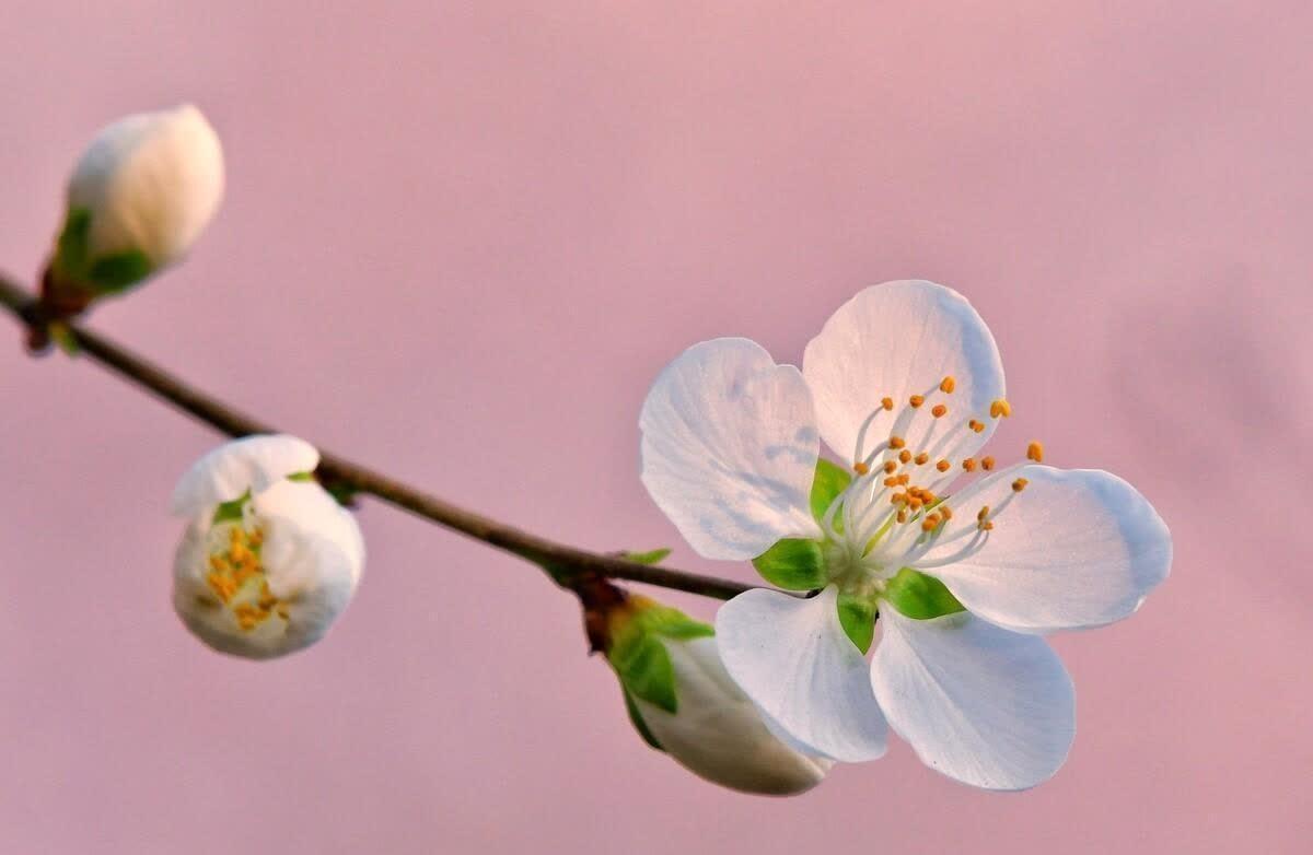温暖到心坎的温馨句子,简洁干净,唯美阳光(图2)