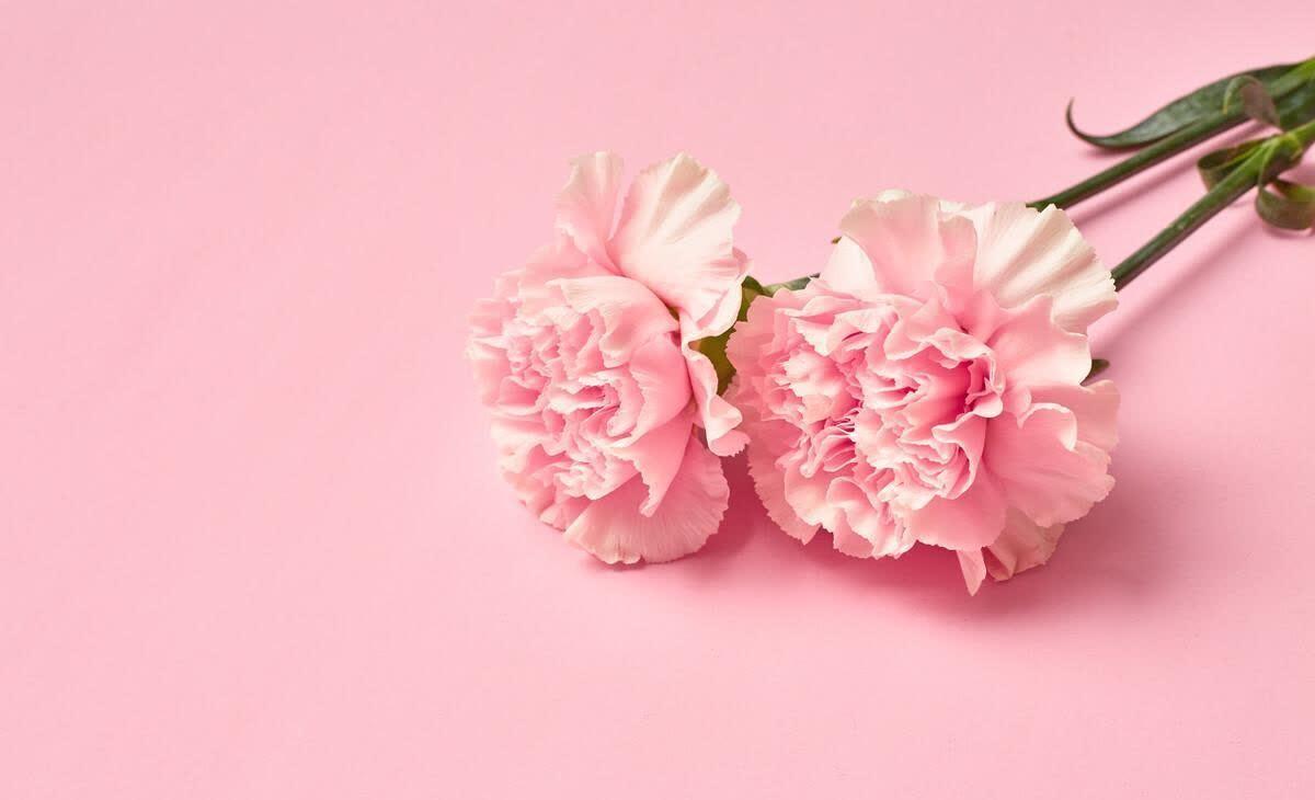 温暖到心坎的温馨句子,简洁干净,唯美阳光(图3)