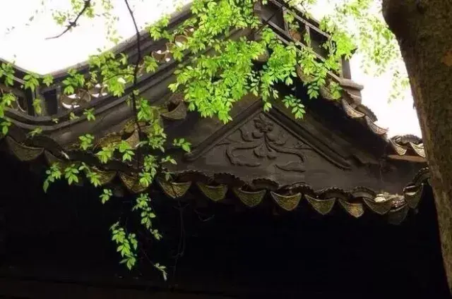 《增广贤文》40句精华，命里有时终须有，命里无时莫强求。(图2)