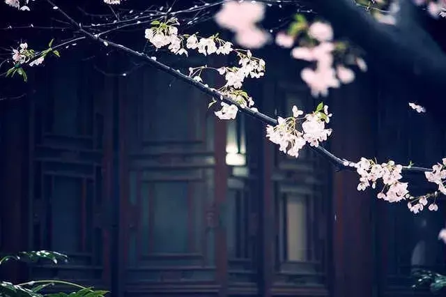 《增广贤文》40句精华，命里有时终须有，命里无时莫强求。(图3)