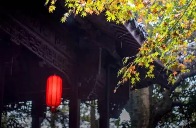 《增广贤文》40句精华，命里有时终须有，命里无时莫强求。(图5)