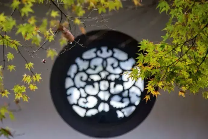 《增广贤文》40句精华，命里有时终须有，命里无时莫强求。(图6)