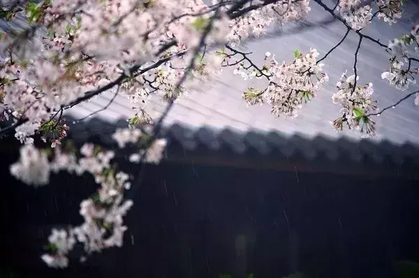 《增广贤文》40句精华，命里有时终须有，命里无时莫强求。(图7)