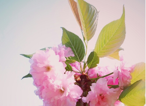 抖音最新正能量奋斗短句，很火的励志暖心说说(图1)