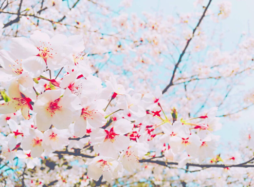 抖音最新正能量奋斗短句，很火的励志暖心说说(图2)