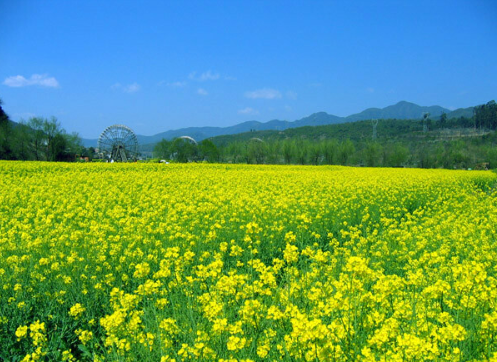 抖音最新正能量奋斗短句，很火的励志暖心说说(图3)