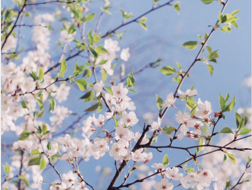 抖音最新正能量奋斗短句，很火的励志暖心说说(图4)