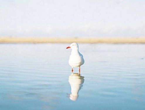 抖音最新正能量奋斗短句，很火的励志暖心说说(图5)